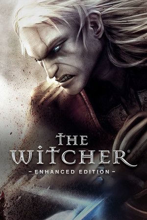 The Witcher